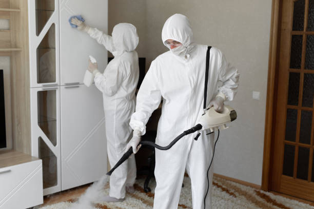 Certified Mold Removal in Yountville, CA