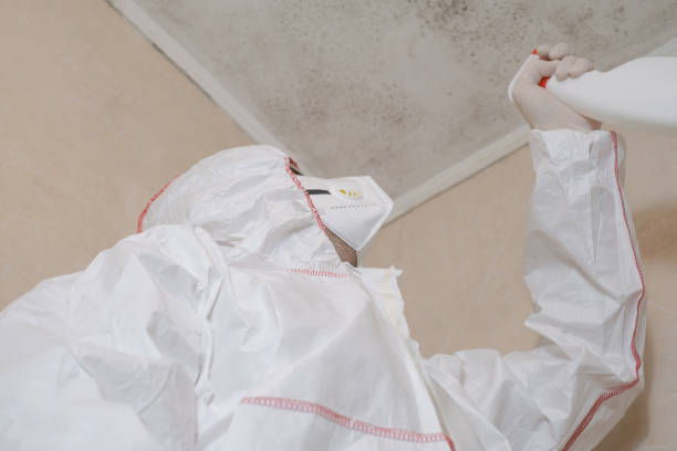 Best Mold Testing  in Yountville, CA
