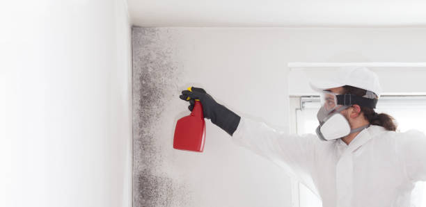 Best Crawl Space Mold Removal  in Yountville, CA