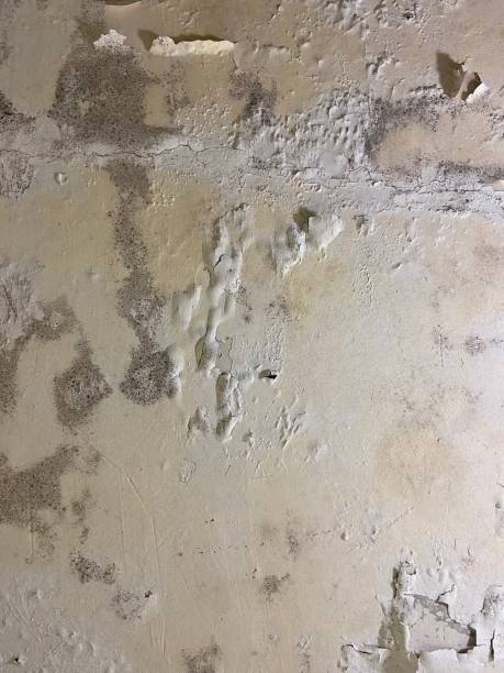 Water Damage Restoration in Yountville, CA